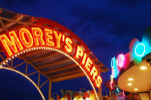Seagull hits teenage girl in face on NJ amusement park ride