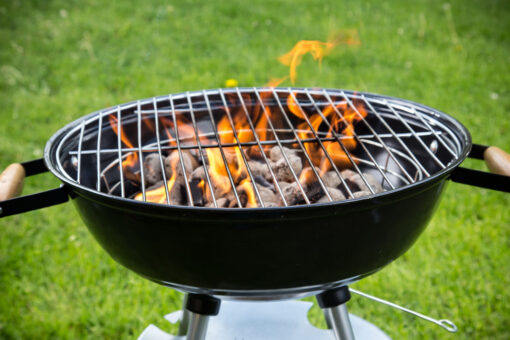 Critics roast anti-grill column that urged Americans to celebrate July 4 in the kitchen: ‘This is hate speech’