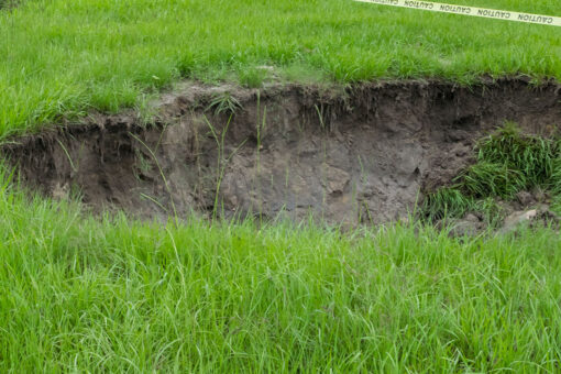 Massive hole forms in Florida family’s backyard overnight