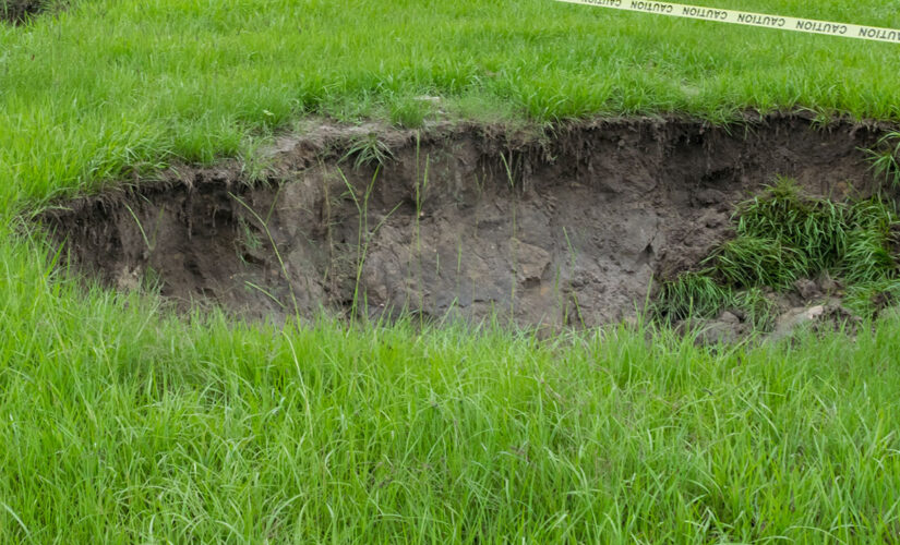 Massive hole forms in Florida family’s backyard overnight