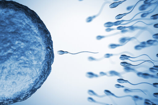 Canadian doctor accused of using own sperm to inseminate patients to pay $10.7M in tentative settlement