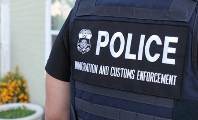 ICE will now avoid arresting pregnant or nursing migrants