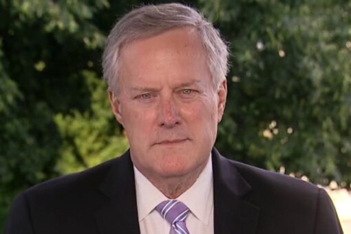 Meadows: Biden administration ‘using schools as incubation for guinea pigs in radical’ critical race theory