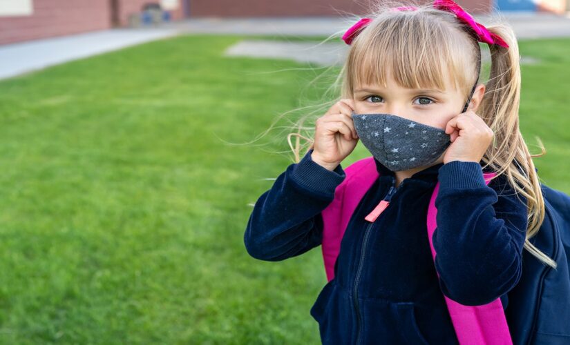 CDC ‘carefully looking’ at school mask guidance after pediatrics group breaks from White House: Fauci