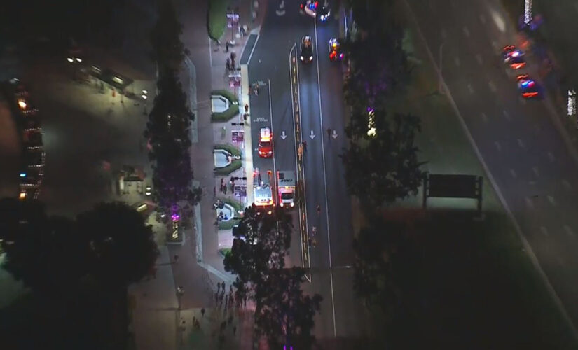 Knott’s Berry Farm tower climber near Supreme Scream ride prompts police response