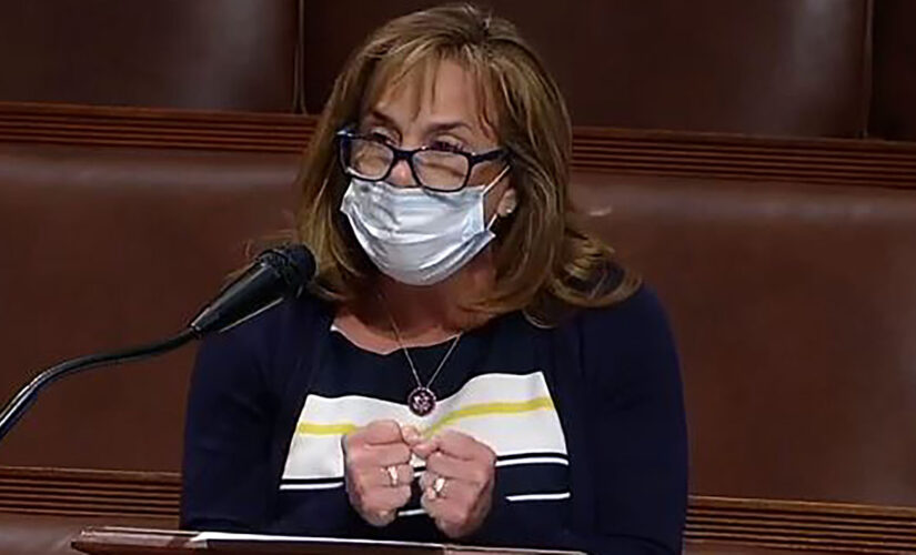 GOP resolution backs DHS, ICE, CBP amid calls to ‘defund’ federal law enforcement agencies