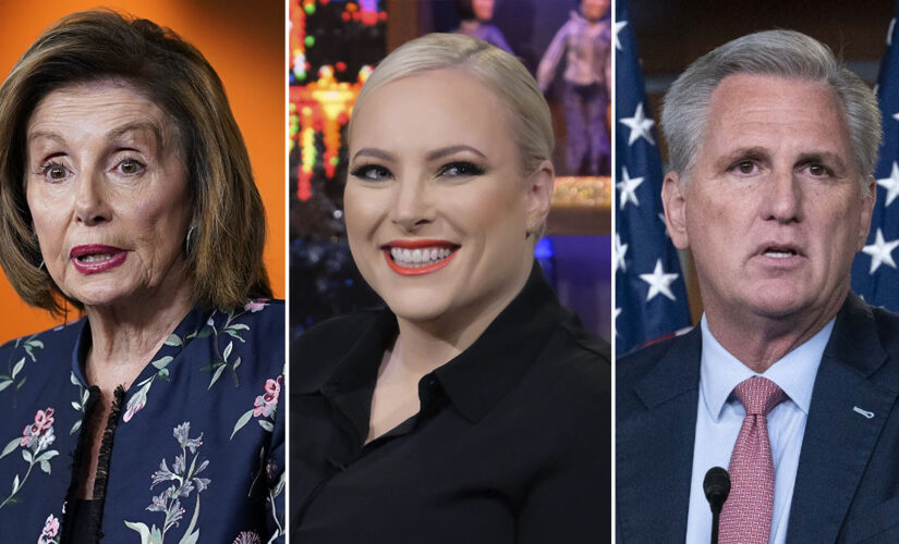 Meghan McCain bashes ‘pathetic bureaucrats’ in Congress, predicts Pelosi will lose speakership in midterms