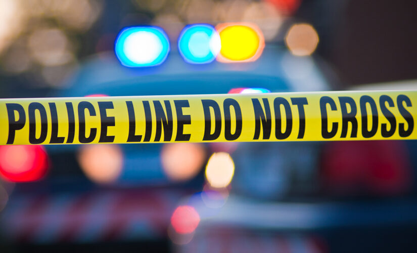 Two NYC teens injured in shooting at Sweet 16 party: cops