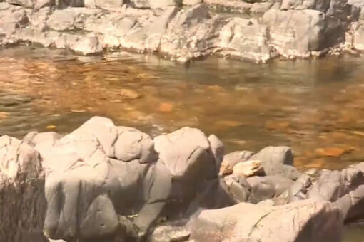 Missouri teen plunges to her death at state park