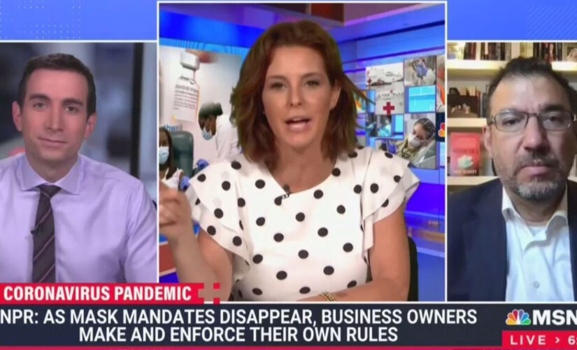 MSNBC panel suggests airlines could ‘pay the government back’ by mandating the vaccine