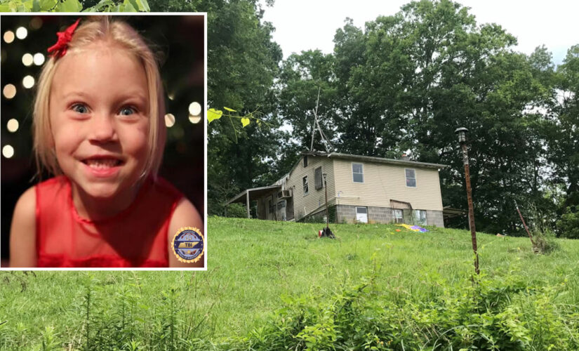 Summer Wells’ brothers removed from family home; dad says ‘It’s probably better for them’