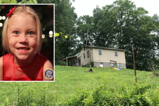 Summer Wells’ brothers removed from family home; dad says ‘It’s probably better for them’