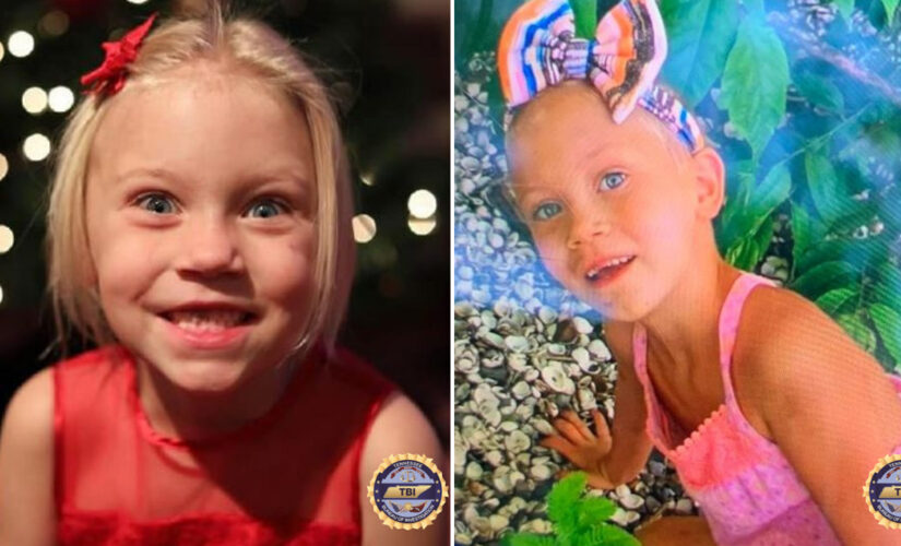 Missing girl Summer Wells: Midwest search and rescue group joins efforts to find 5-year-old