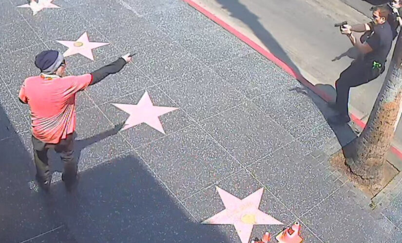 Hollywood Walk of Fame suspect dead after shot by police: report