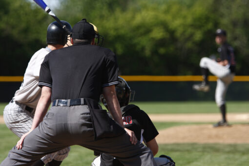 Fan appears to strike out on proposal at minor league baseball game