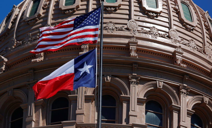 Texas Senate passes Republican-backed voting reform bill