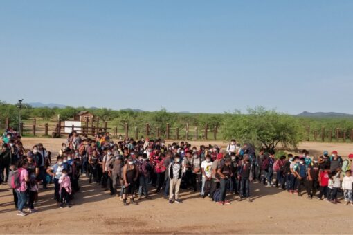 Border Patrol agents apprehend nearly 200 migrants at the border, more than half unaccompanied children