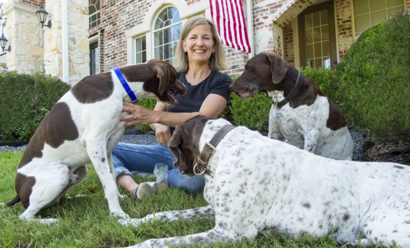 Andrea Laurent-Simpson: ‘Dog Mom’ and more – we’re living in multispecies families now. Here’s what it means