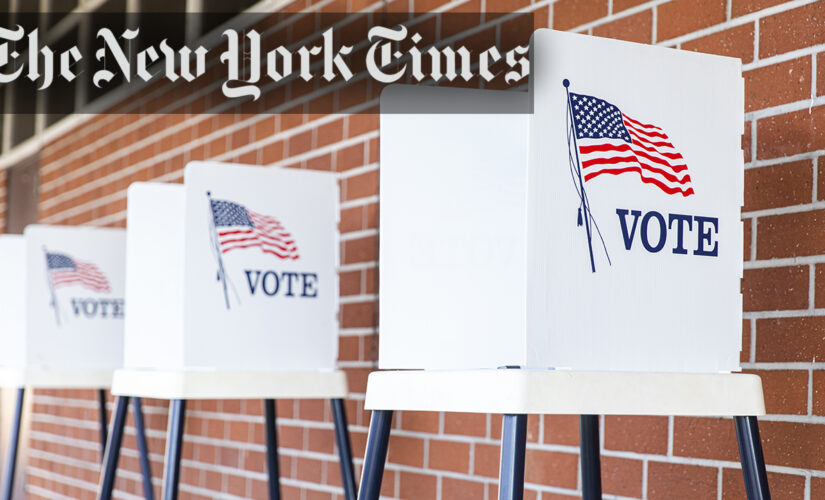 New York Times guest essay argues non-citizens should have right to vote