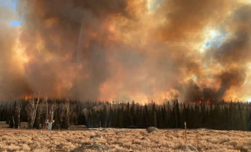 Wildfire smoke exposure linked to COVID-19 case increase: study