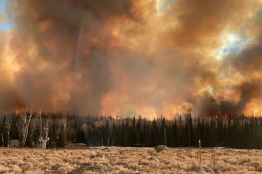 Wildfire smoke exposure linked to COVID-19 case increase: study
