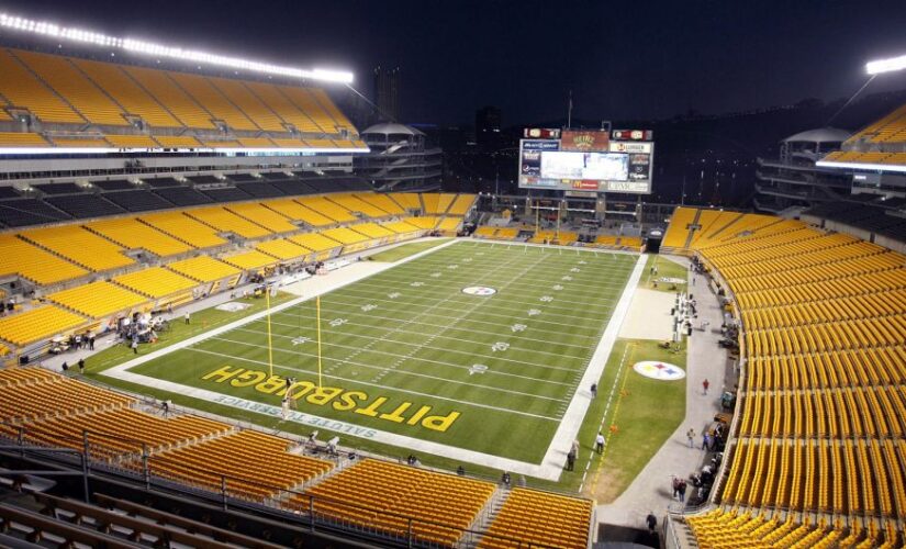 Police investigating fight at Steelers game where man slugged woman