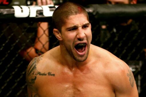 Ex-UFC fighter Brendan Schaub rescues young children after deadly wrong-way crash, driver charger with murder