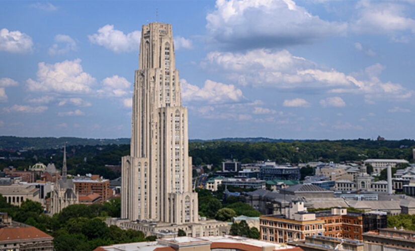 Former PA judge, Pitt alum calls for investigation into university’s fetal tissue research