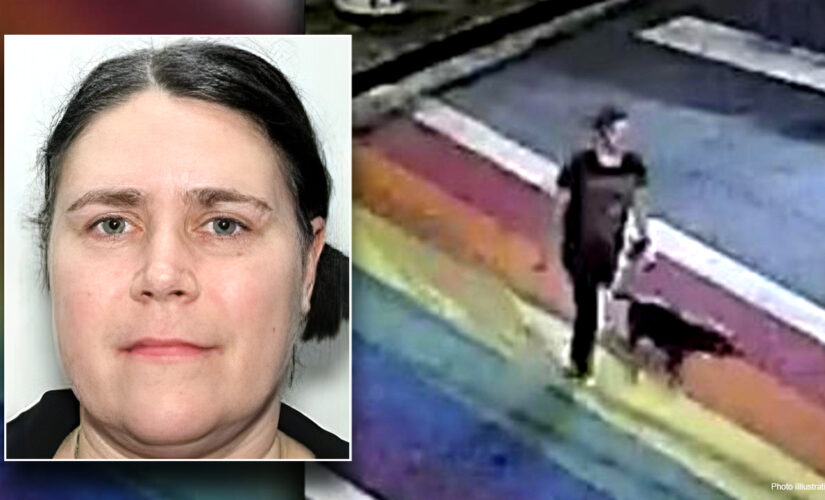 Atlanta park murder: FBI joins hunt for suspect in brutal stabbing of woman, dog