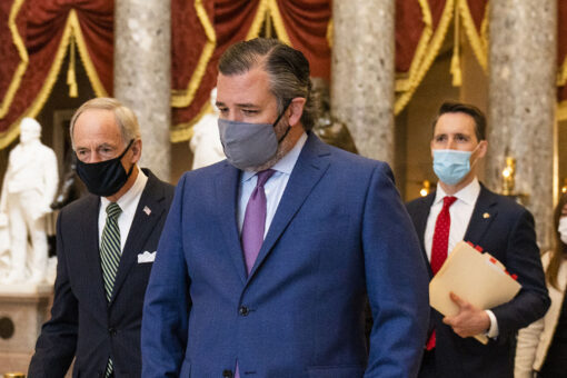 Cruz, Roy slam Biden admin over ‘man-made’ border crisis as fentanyl deaths skyrocket