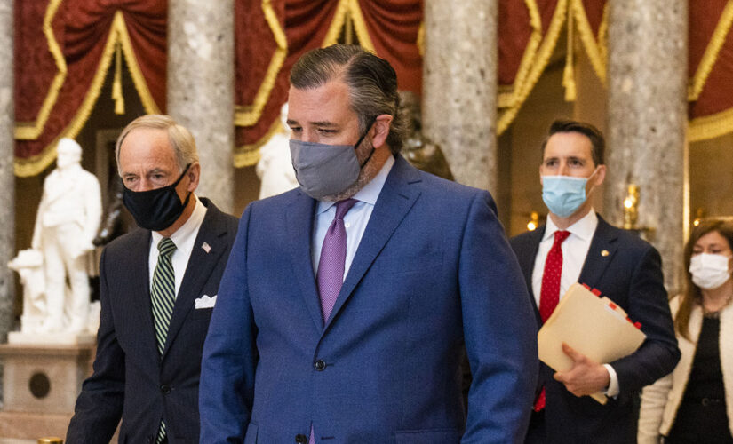 Cruz, Roy slam Biden admin over ‘man-made’ border crisis as fentanyl deaths skyrocket