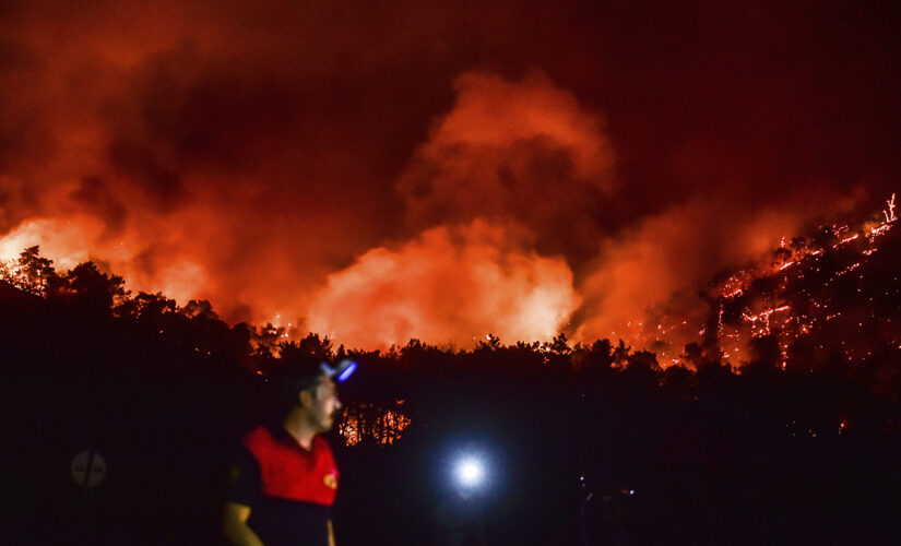 Turkey’s Erdogan faces mounting criticism over wildfires