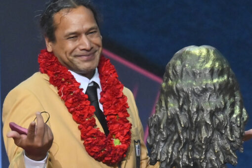 Steelers greats Polamalu, Cowher among NFL’s hall of fame enshrinees Saturday night