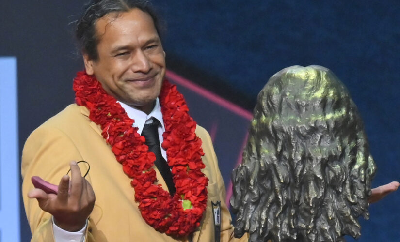 Steelers greats Polamalu, Cowher among NFL’s hall of fame enshrinees Saturday night