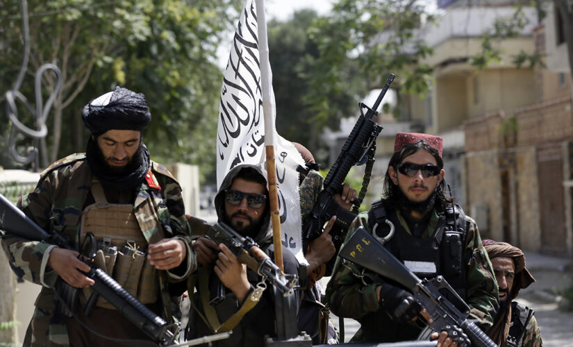 Taliban websites mysteriously go dark