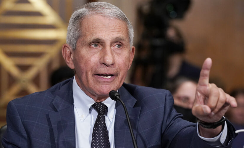 Associated Press ripped after Fauci touts monoclonal antibodies: ‘Isn’t this the thing Ron DeSantis promoted?’