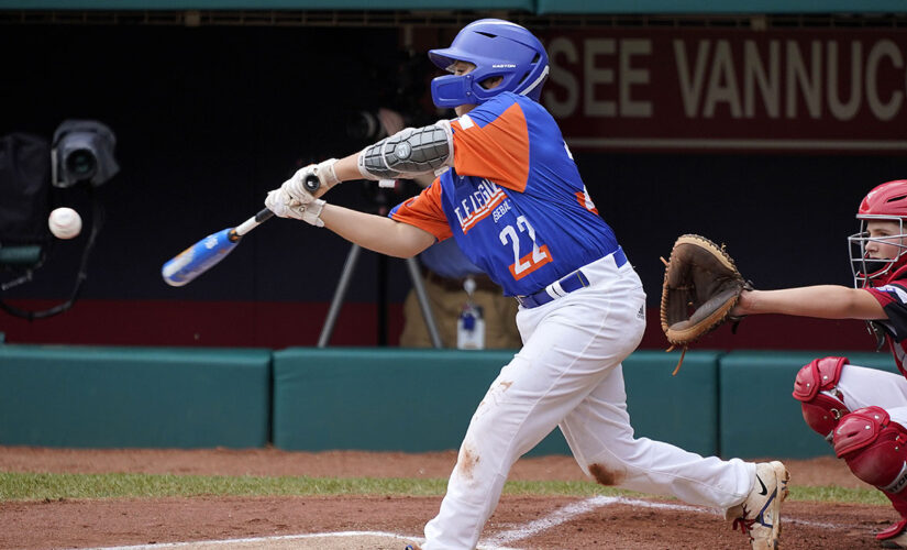 Lake Superior: Michigan beats Ohio for Little League title