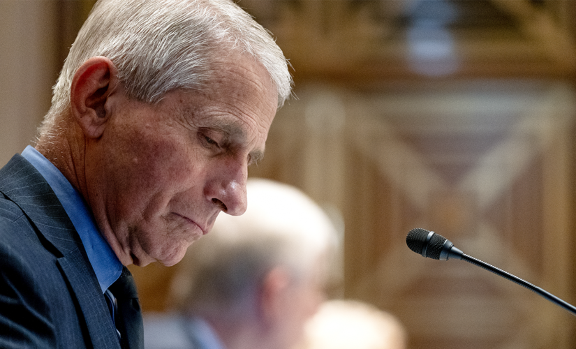 Tomi Lahren rips Fauci, tells him to ‘kick rocks’ for silence on Obama birthday while shaming conservatives