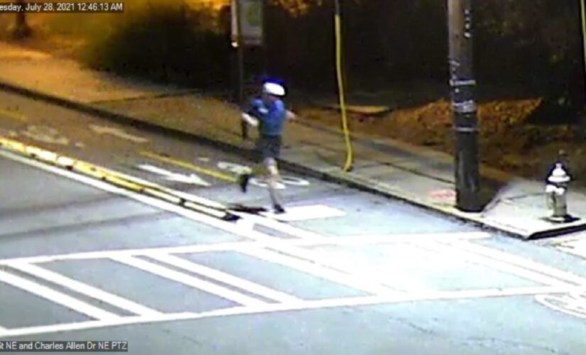 Atlanta police release images of potential witnesses to deadly park stabbing of woman and dog