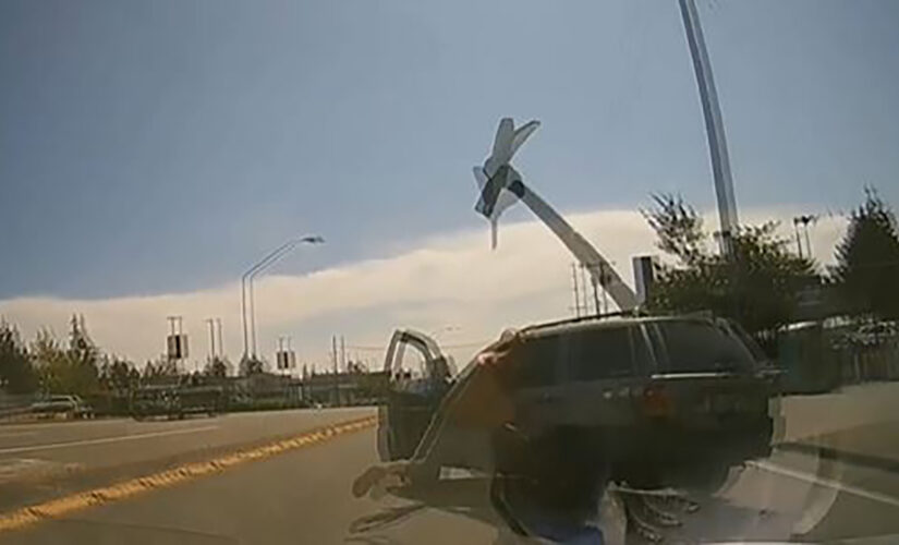 Washington state driver caught on video hurling ax in road rage incident: report