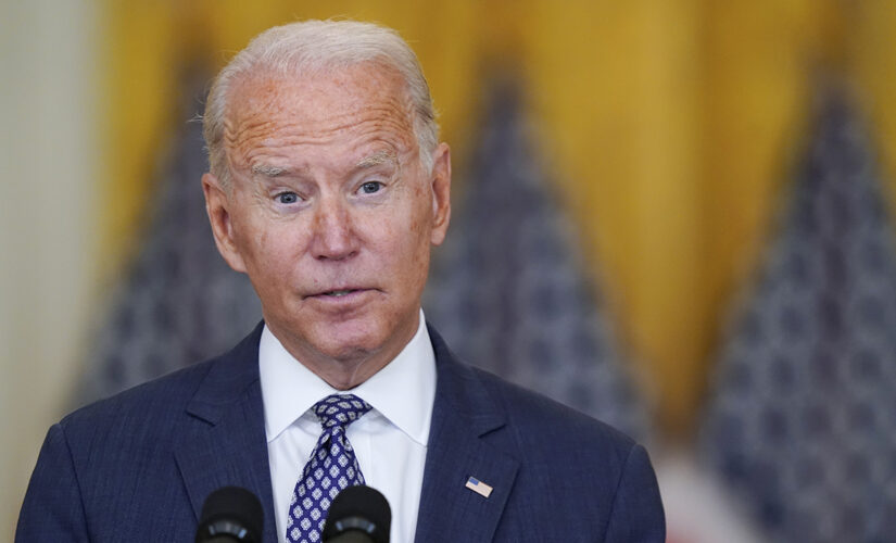 Biden approval ratings dip in new public opinion poll