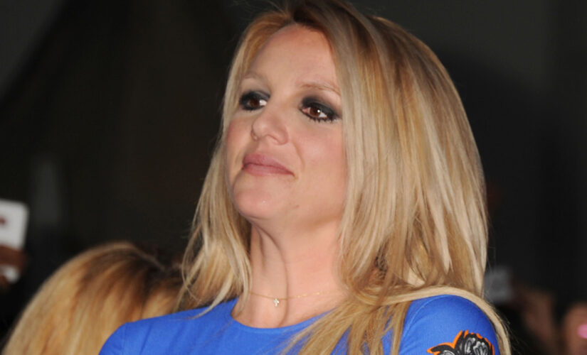 Britney Spears denies allegation she struck housekeeper during ‘cell phone’ incident