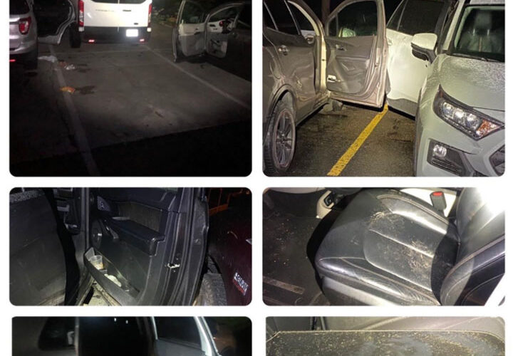 Bear opens 8 car doors in Colorado town in 1 night: ‘Lock all your windows and doors’