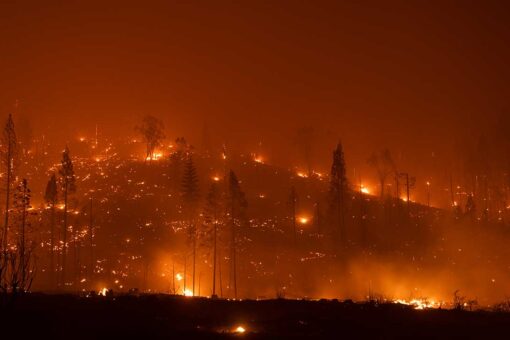 National forests closed as California wildfires surge