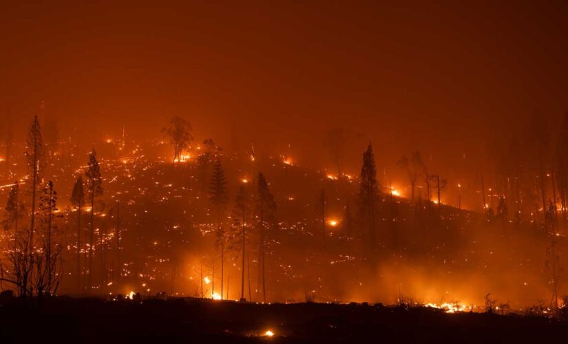 National forests closed as California wildfires surge