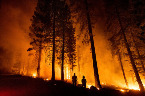 California college professor set arson fire near Dixie Fire, authorities say
