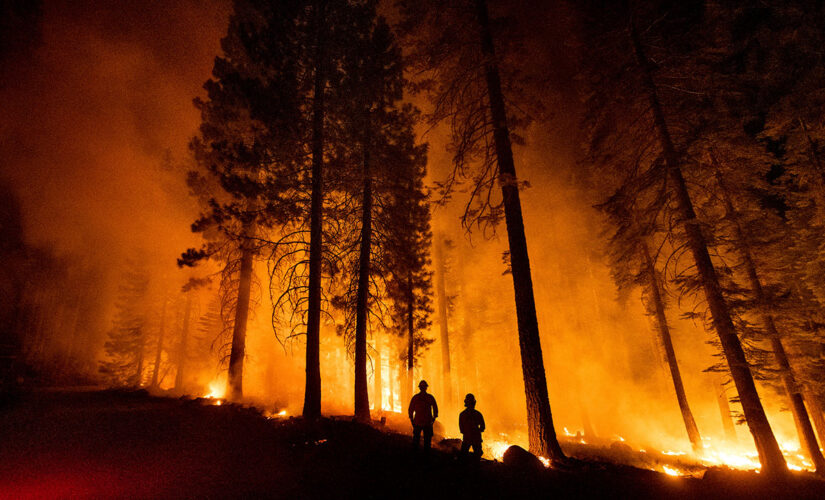 California college professor set arson fire near Dixie Fire, authorities say