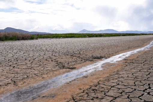 Impacts of California drought, water woes threaten energy, agriculture