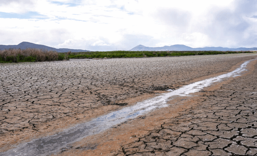 Impacts of California drought, water woes threaten energy, agriculture
