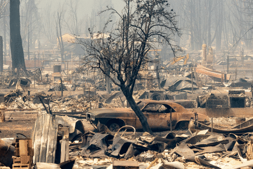 Northern California town burns to ashes in devastating wildfire